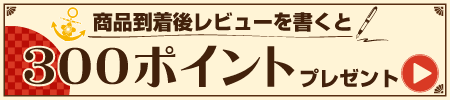 レビュー投稿で300ポイントプレゼント